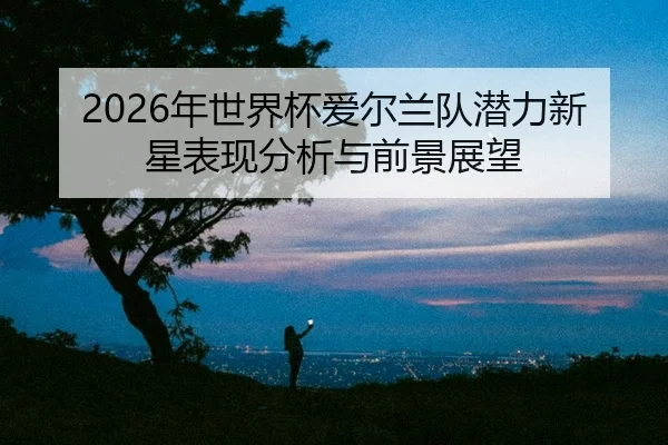 nian-shi-jie-bei-ai-er-lan-dui-qian-li-xin-xing-biao-xian-fen-xi-yu-qian-jing-zhan-wang-2-304.jpg