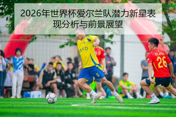 2026年世界杯爱尔兰队潜力新星表现分析与前景展望