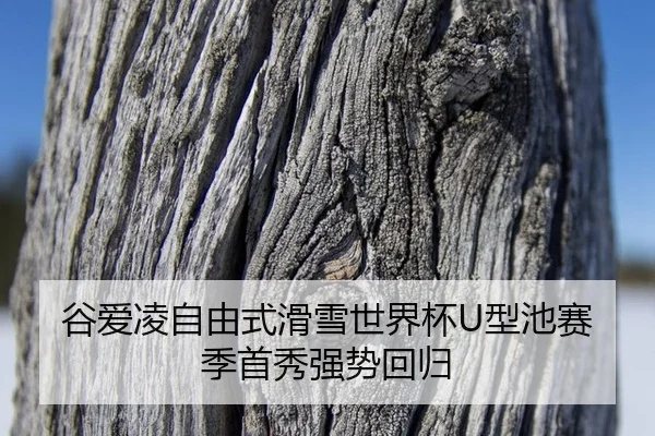 gu-ai-ling-zi-you-shi-hua-xue-shi-jie-bei-xing-chi-sai-ji-shou-xiu-qiang-shi-hui-gui-2-805.jpg