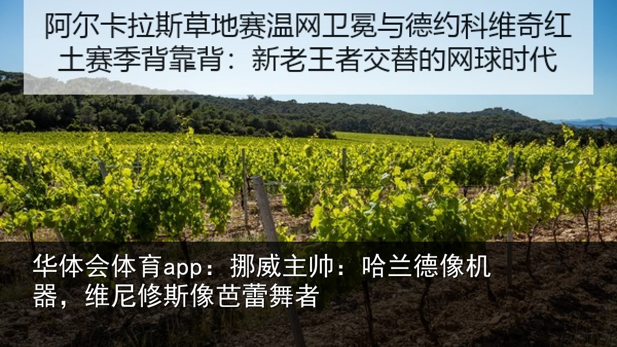 华体会体育app:挪威相关情况,维尼修斯像芭蕾舞者