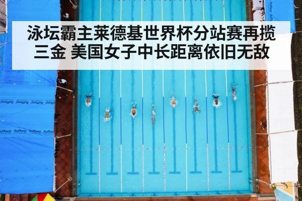 泳坛霸主莱德基世界杯分站赛再揽三金 美国女子中长距离依旧无敌