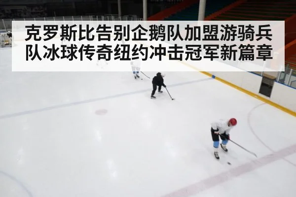 ice hockey rink